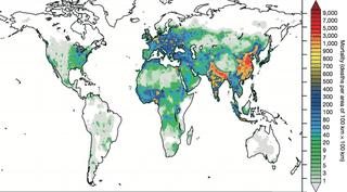 Illustration for article titled Smog Causes More Than 3 Million Premature Deaths a Year Worldwide